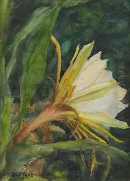 Epihyllum, The Flower Of Twenty Four Hours Oil Painting by Karl H. Yens