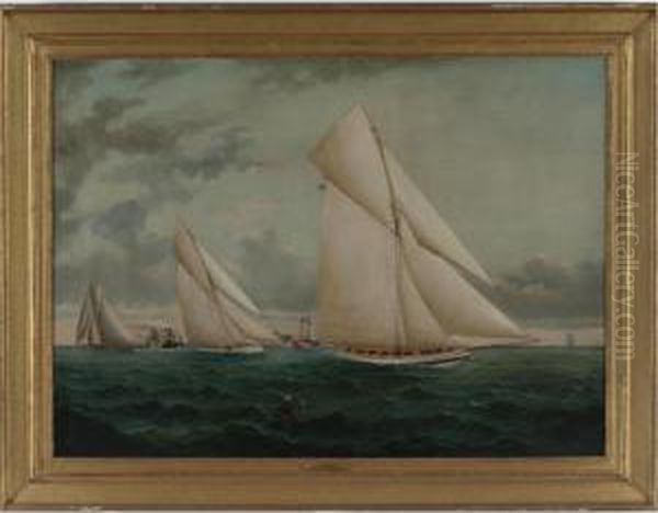 The Atlantic Cup Race Oil Painting by William Gay Yorke