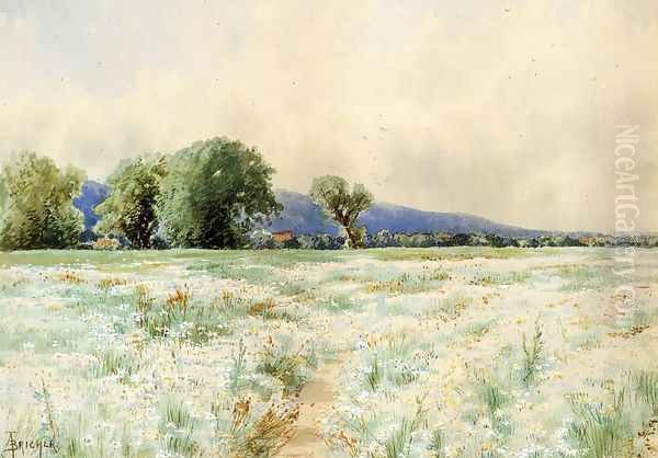 The Daisy Field Oil Painting by Alfred Thompson Bricher