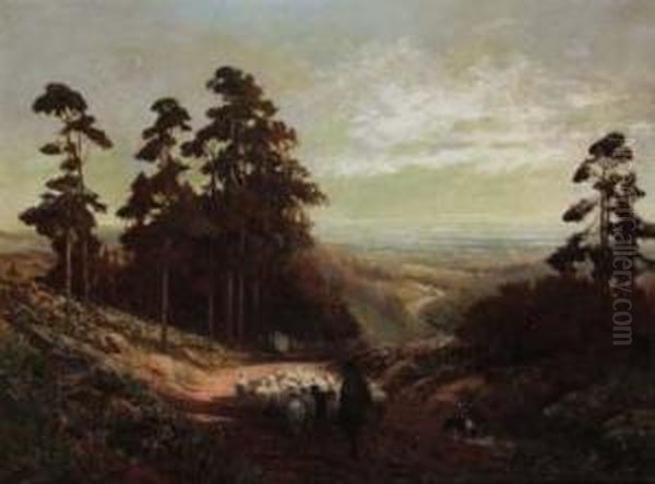 Near Leith Hill Surrey Oil Painting by Alexander Young