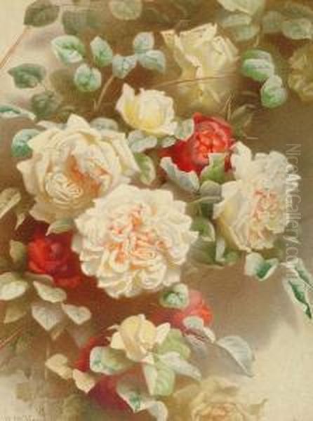 Gloire De Dijon Roses Oil Painting by Annie Mary Youngman