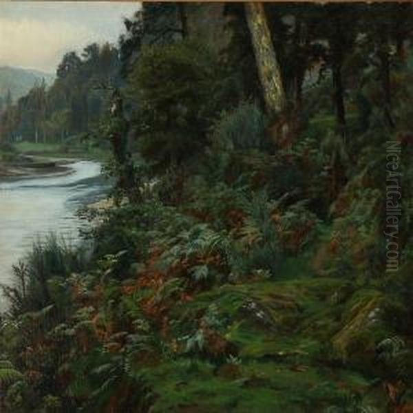 Forest Scene From Concarneau In Brittany Oil Painting by Christian Zacho