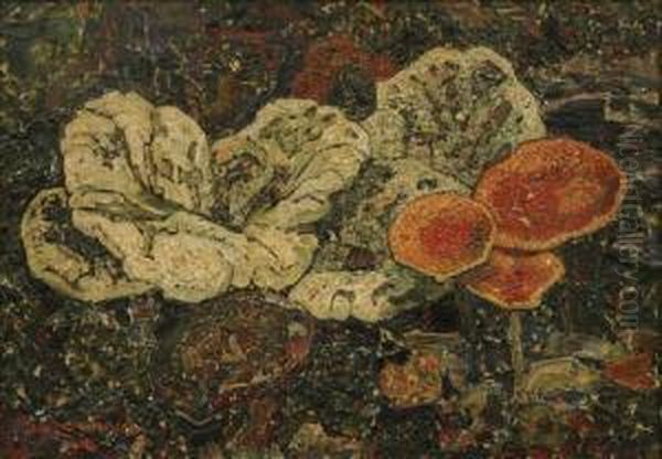 Mushrooms Oil Painting by Jan Adam Zandleven