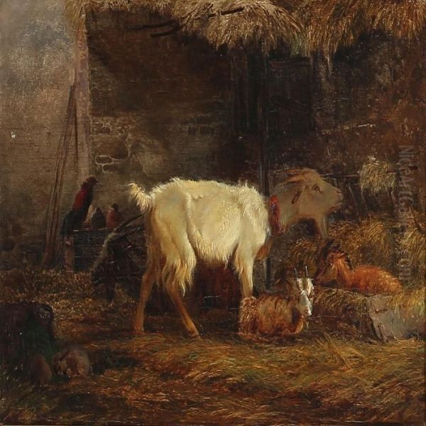 Stable Interior With Goats, Rabbits And Chickens Oil Painting by Wilhelm Zillen