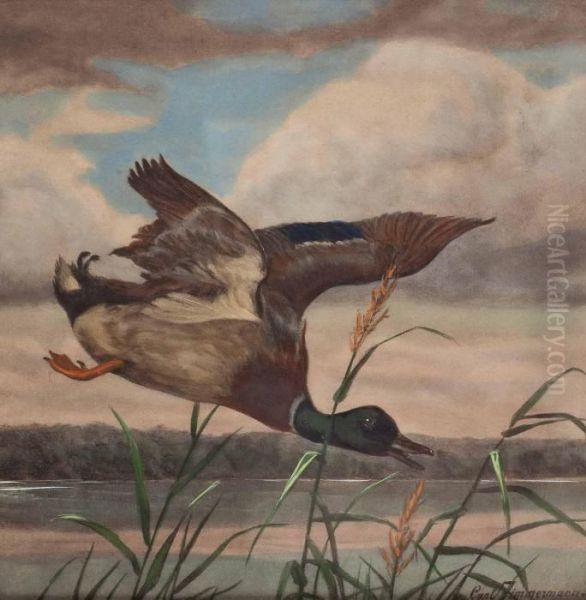 Ente Im Anflug Uber See Oil Painting by Carl Friedrich Zimmermann