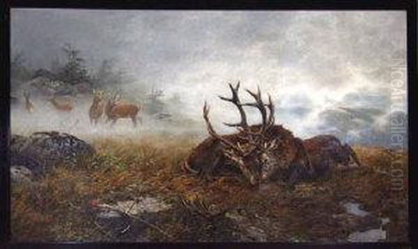 A Misty Woodland Landscape With Two Stags Locked In Combat Oil Painting by Carl Friedrich Zimmermann