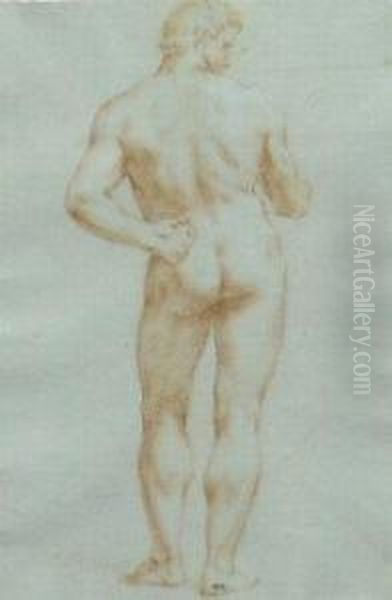 Male Nude From Behind Oil Painting by Giacomo Zoboli