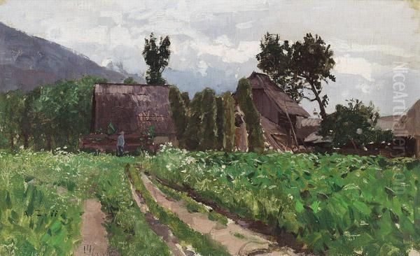 Maisfeld In Kirschenheim Oil Painting by Alfred Zoff