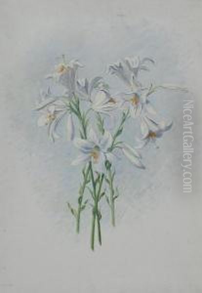 Lilien Oil Painting by Ernst Theodor Zuppinger