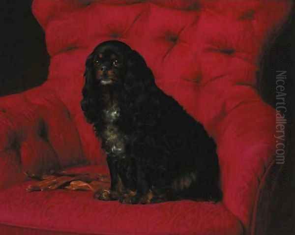 A cavalier King Charles spaniel Oil Painting by Otto Bache