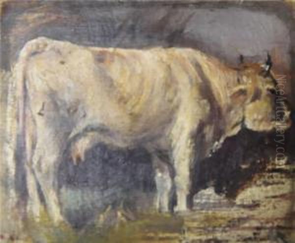 Studie Einer Kuh Oil Painting by Oscar Zwintscher