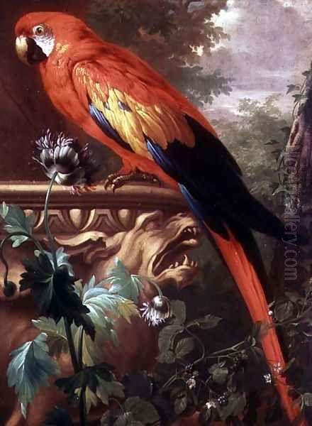 Scarlet Macaw in a Landscape Oil Painting by Jakab Bogdany