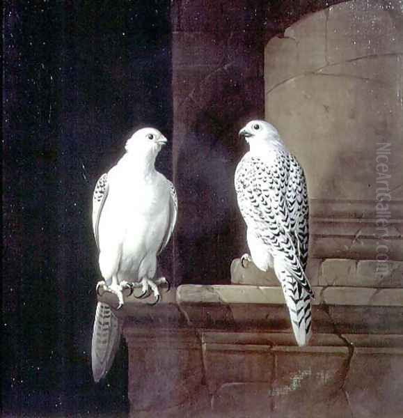 Two Iceland Falcons Oil Painting by Jakab Bogdany