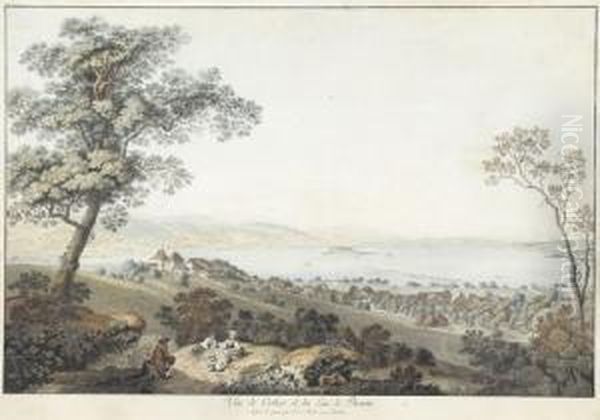 Vue De Cerlier Et Du Lac De Bienne Oil Painting by Johann Ludwig Aberli