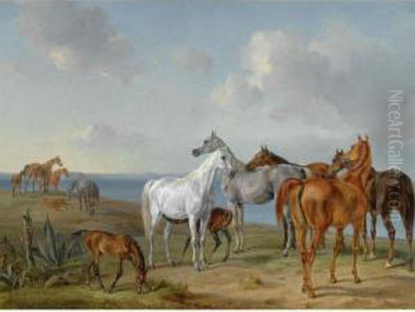 Pferde Auf Der Weide (arabian Horses At Pasture) Oil Painting by Adam Albrecht