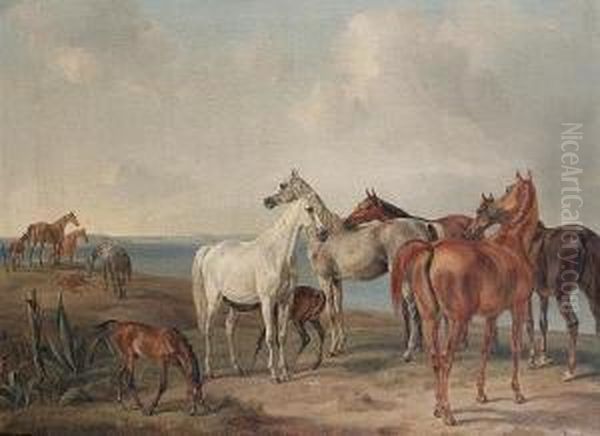 Horses On A Cliff Top Pasture Oil Painting by Adam Albrecht