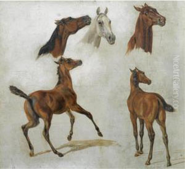 Pferdestudien (horse Studies) Oil Painting by Adam Albrecht