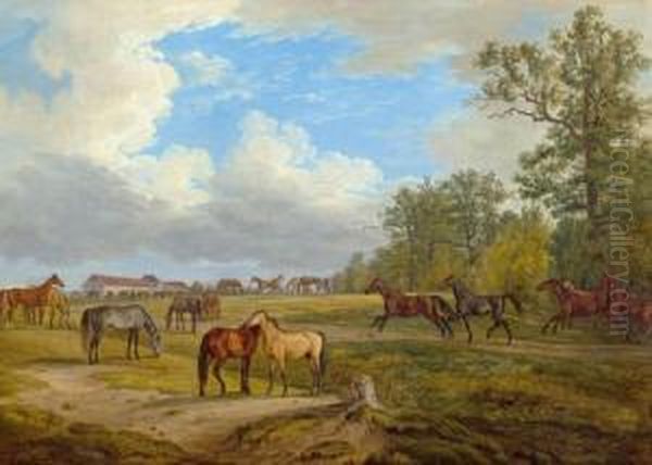 Horses In The Paddock Oil Painting by Adam Albrecht