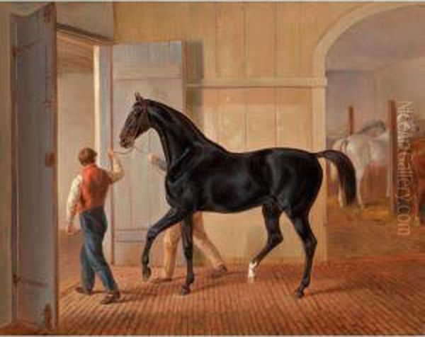 Der Hengst 'logic' (the Stallion 'logic') Oil Painting by Adam Albrecht