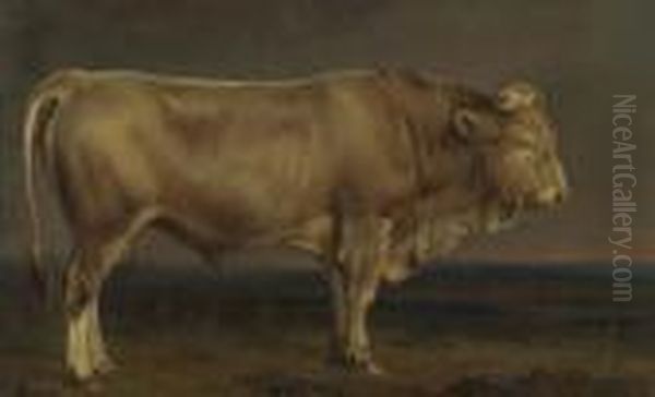 Bull On The Meadow. Oil Painting by Benno Adam