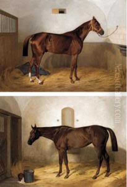 Portrait Of A Race Horse In A Stable Oil Painting by Emil Adam