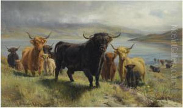 Highland Cattle Oil Painting by Joseph Denovan Adam