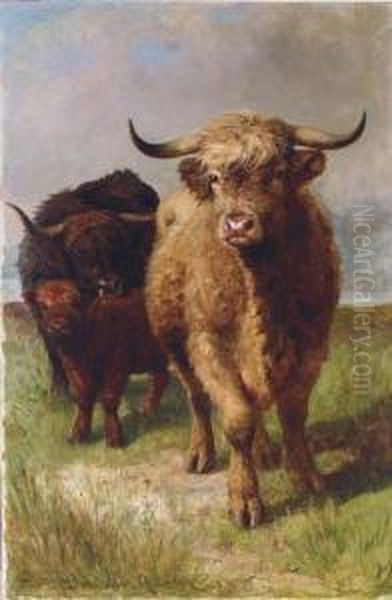 Highland Cattle Oil Painting by Joseph Denovan Adam