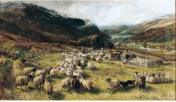 Sheep Gathering Oil Painting by Joseph Denovan Adam