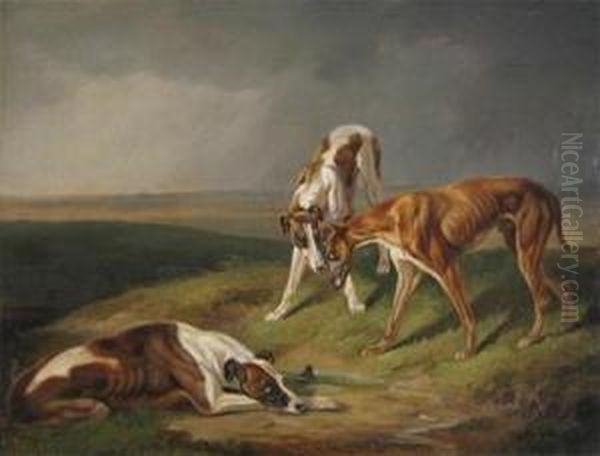 Three Lurchers In A Landscape Oil Painting by Patrick William Adam