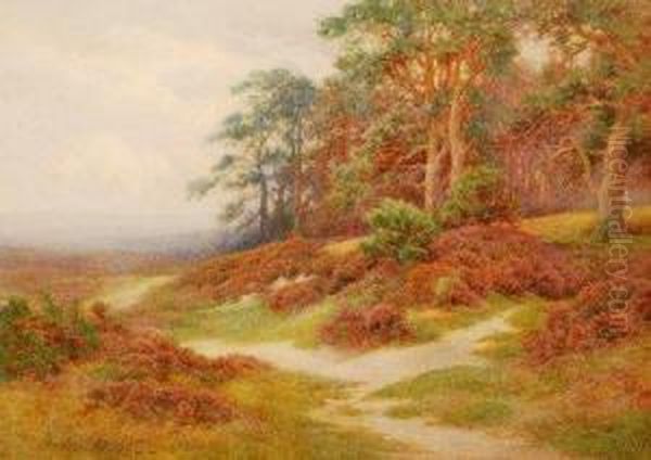 Edge Of The Forest Oil Painting by Charles James Adams