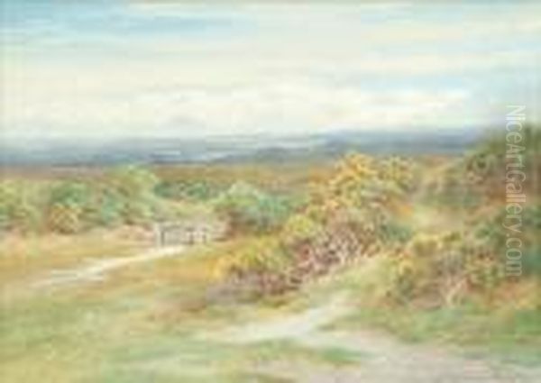 Gate On Exmoor Silver Birches Oil Painting by Charles James Adams