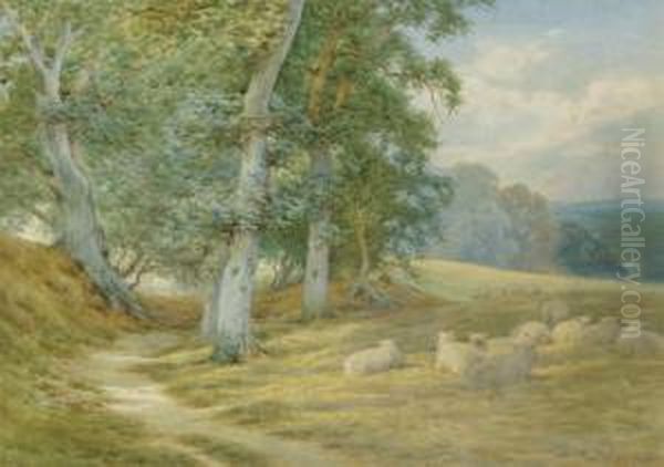 Herding Sheep Along A Surrey 
Lane In Autumn; And Sheep Resting By A Woodland Path (illustrated) Oil Painting by Charles James Adams