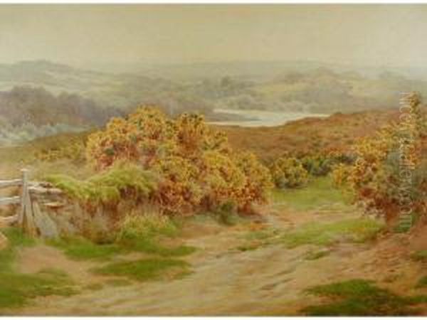 Landscape With A Lake In The Distance And A Track Through Gorse Oil Painting by Charles James Adams