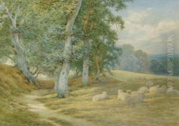 Herding Sheep Along A Surrey Lane In Autumn Oil Painting by Charles James Adams