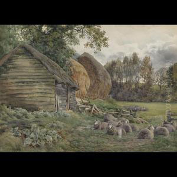 Sheep In A Barnyard Oil Painting by Charles James Adams