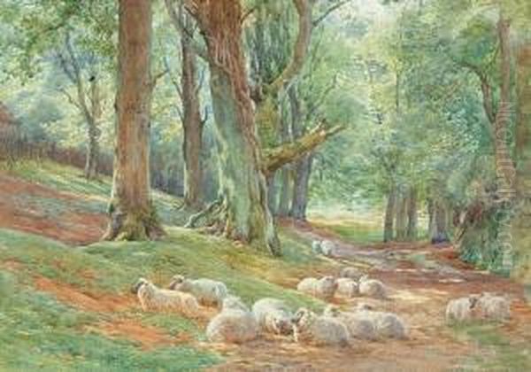 Sheep Resting In A Woodland Clearing, And Another Similar Of Sheep In A River Landscape Oil Painting by Charles James Adams