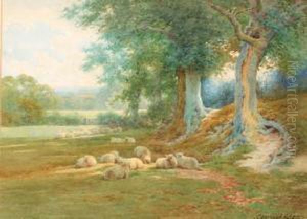 Sheep Resting Beneath The Trees; And Feeding The Sheep Oil Painting by Charles James Adams