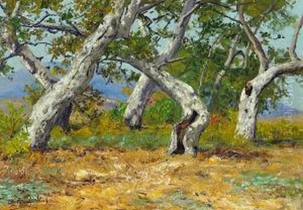 California Oak Groves Oil Painting by Charles Partridge Adams