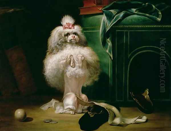 A Dog of the Havannah Breed 1768 Oil Painting by Jean Jacques Bachelier