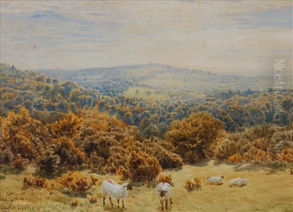 Sheep Grazingin An Extensive Landscape Oil Painting by John Clayton Adams