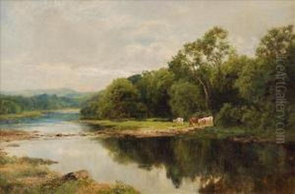 Cattle On Thebanks Of A River Oil Painting by John Clayton Adams