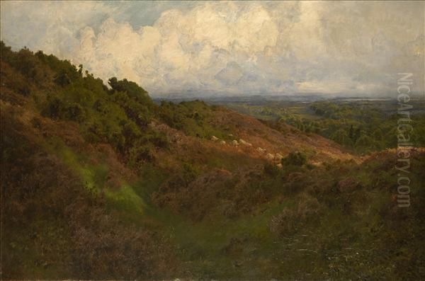 Extensivesummer Landscape Oil Painting by John Clayton Adams