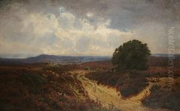 Sheep On A Heathland Path Oil Painting by John Clayton Adams