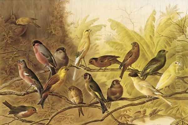 A chorus of song birds in an aviary Oil Painting by Henry Bright