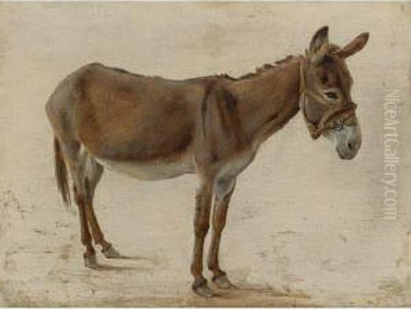 A Donkey Oil Painting by Jacques Laurent Agasse