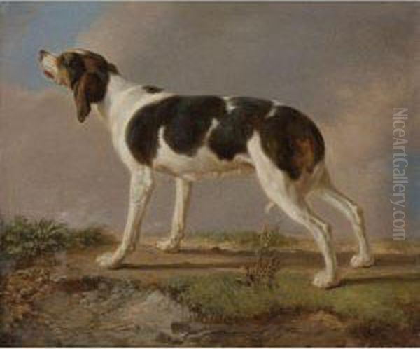 A Hunting Dog Oil Painting by Jacques Laurent Agasse