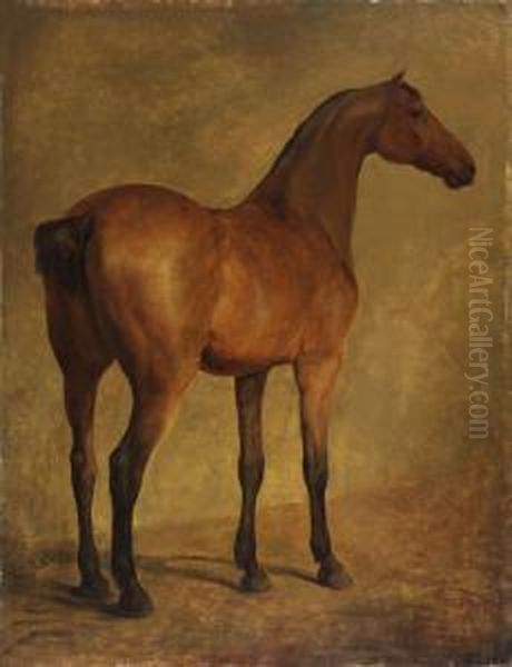 Cheval, Vu De Trois-quarts A Droite Oil Painting by Jacques Laurent Agasse