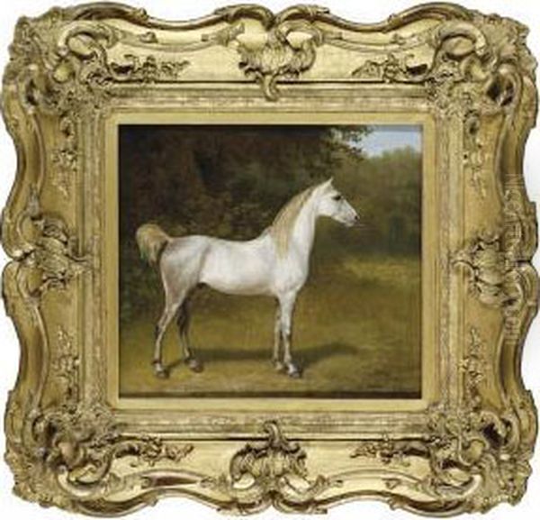 An Arab Stallion In A Landscape Oil Painting by Jacques Laurent Agasse