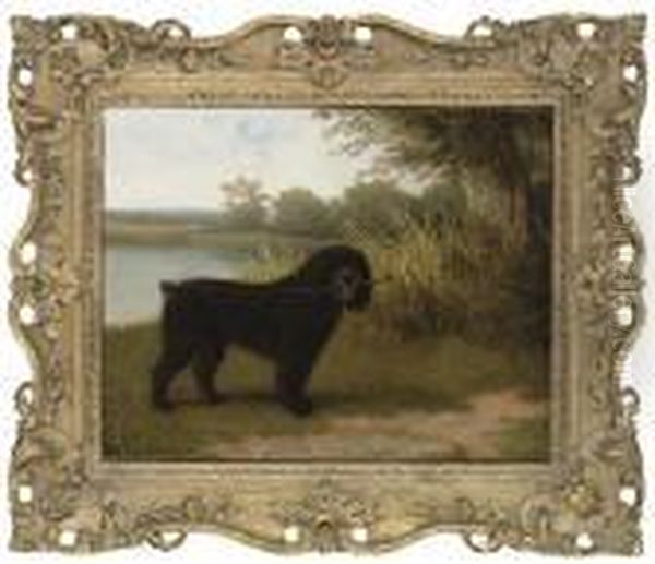 A Black Water Dog With A Stick By A Lake Oil Painting by Jacques Laurent Agasse