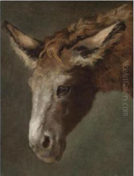 A Study For The Head Of A Donkey Oil Painting by Jacques Laurent Agasse